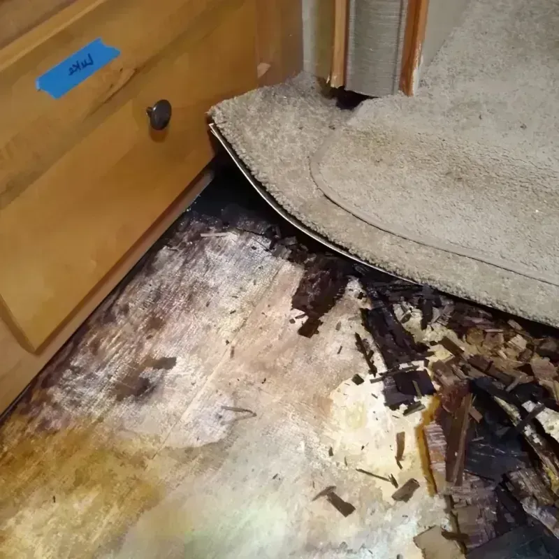 Wood Floor Water Damage in Red Lake Falls, MN